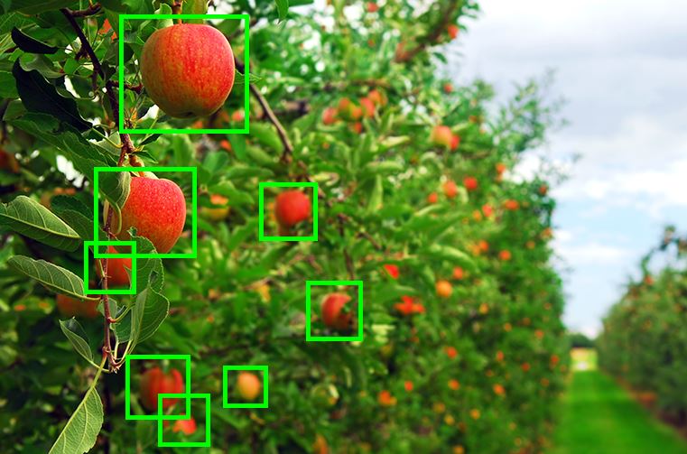 Fruits Detection System